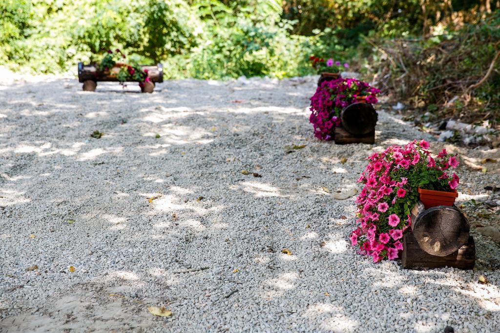 Villa Drecheva Ognyanovo  Buitenkant foto